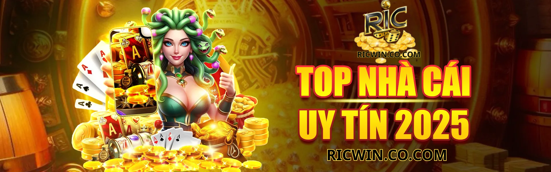 banner Ricwin
