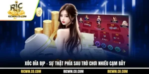 Xóc Đĩa Bịp – Sự Thật Phía Sau Trò Chơi Nhiều Cạm Bẫy